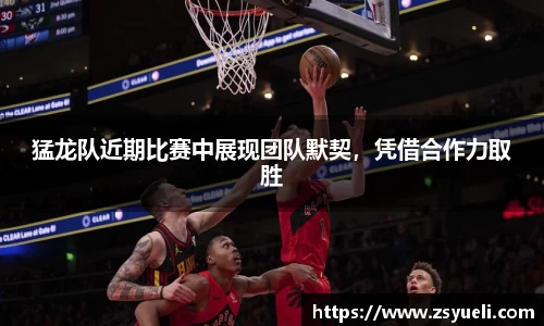 星空·综合体育中国官方网站