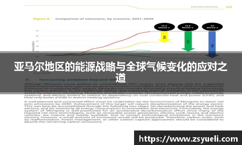 星空·综合体育中国官网